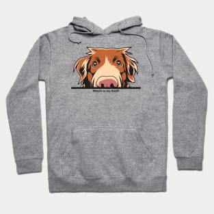 Where Is My Food Funny Toller Hoodie